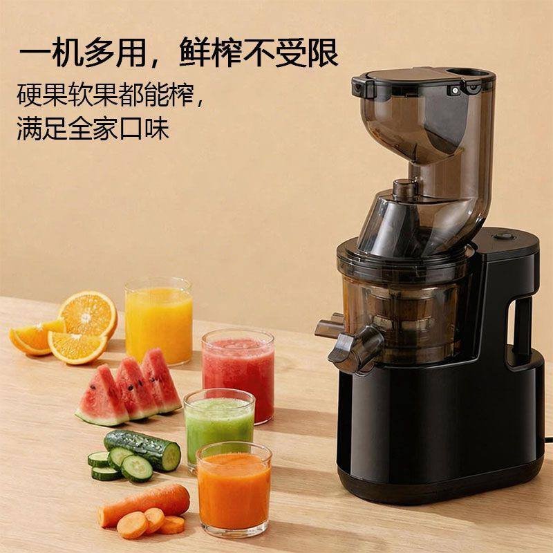 Slow Juicer Wide Chute Fruit Extractor