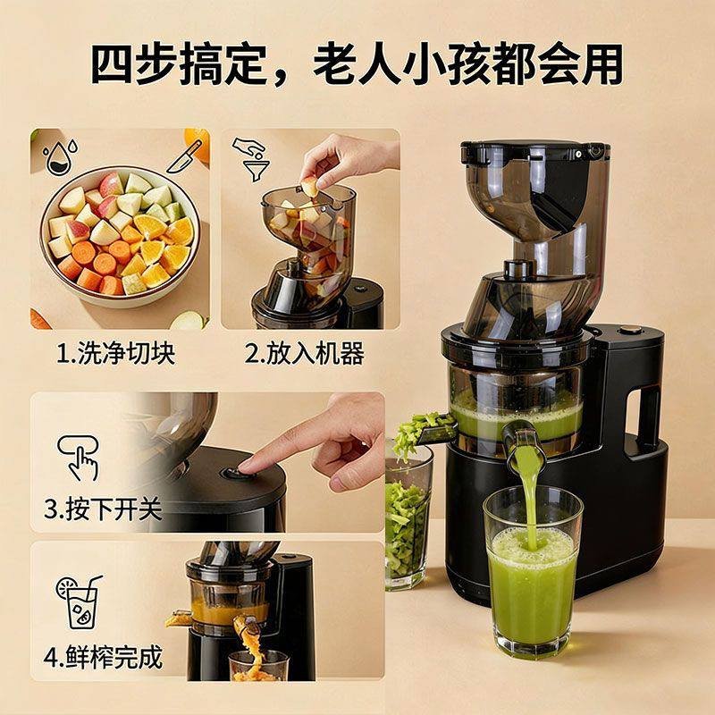 Slow Juicer Wide Chute Fruit Extractor, view 2